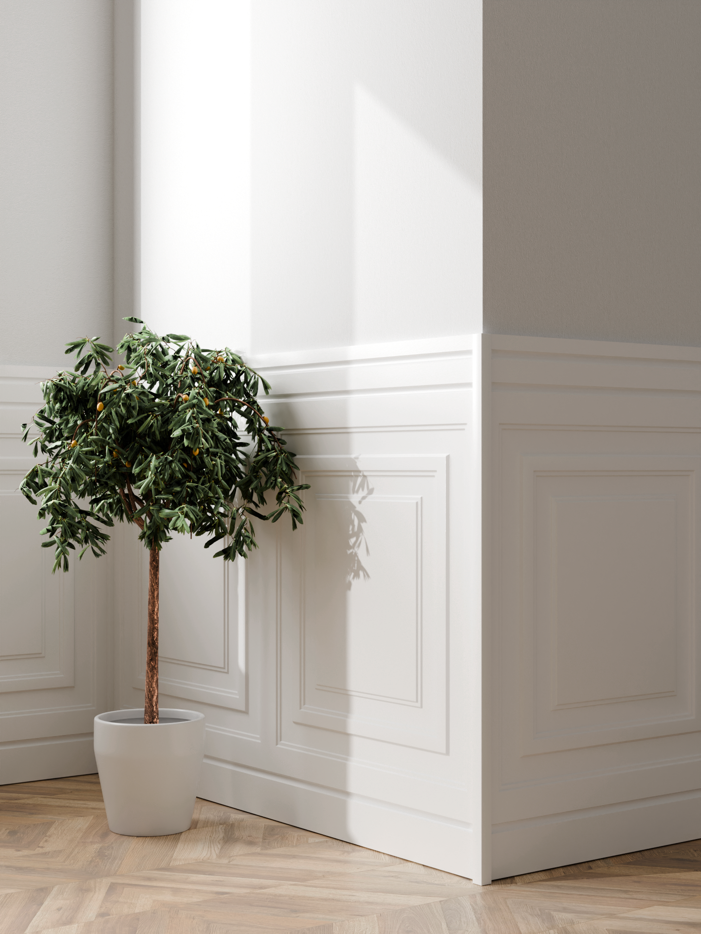 Boazeria angielska Gdynia