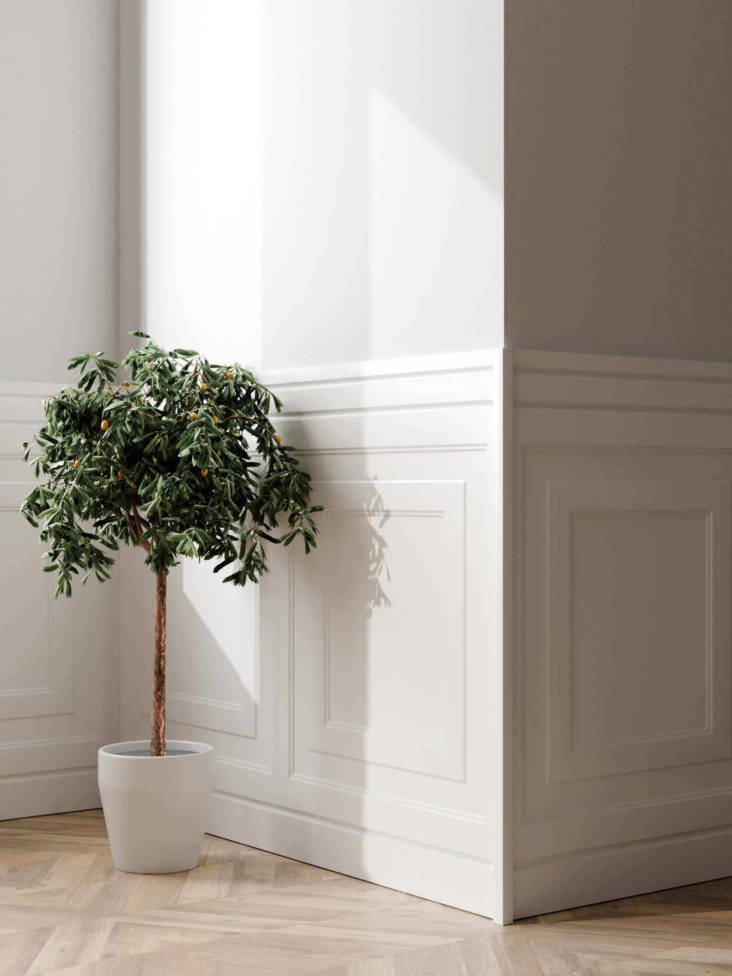 Boazeria angielska Kraków