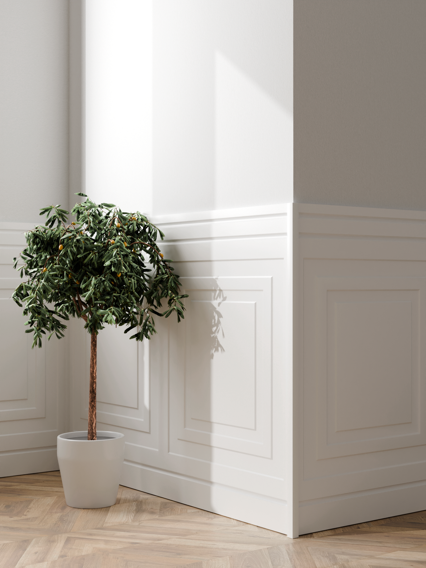 Boazeria angielska Katowice